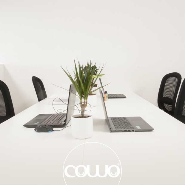 Postazioni lavoro - Spazio Coworking Roma Ovest Aurelia km 13